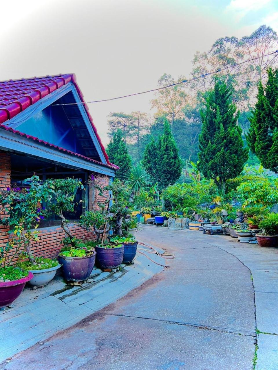 Hoa Chuong - Villa - Homestay Далат Экстерьер фото
